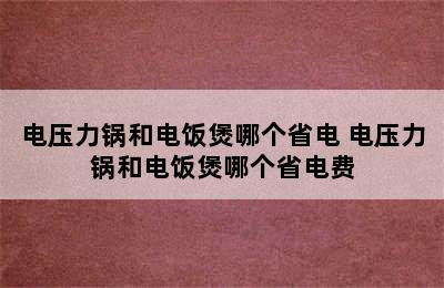 电压力锅和电饭煲哪个省电 电压力锅和电饭煲哪个省电费